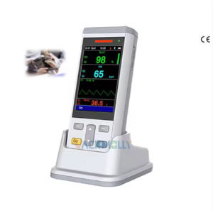 Multi-parameter Patient Monitor